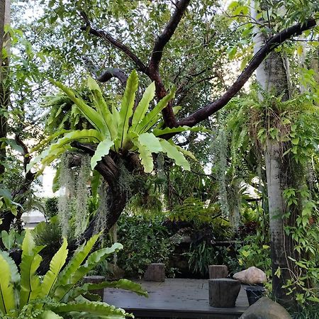 Sareeviengping Hotel Chiangmai Chiang Mai Exterior photo