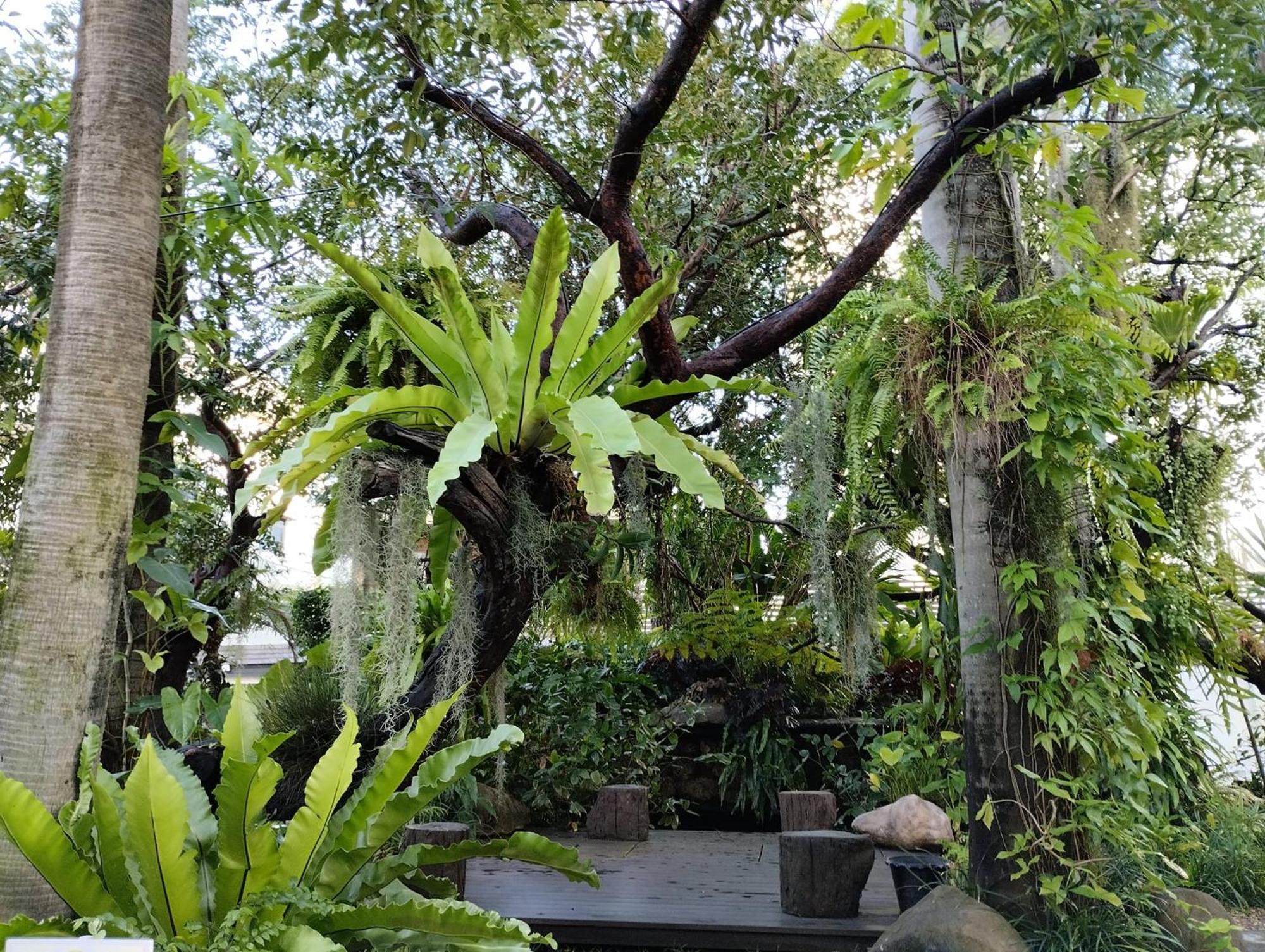 Sareeviengping Hotel Chiangmai Chiang Mai Exterior photo